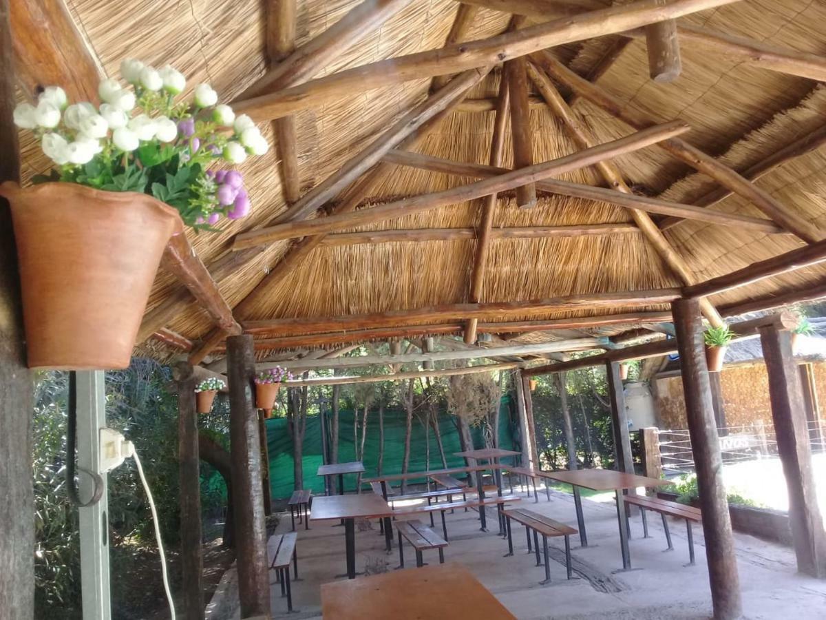 Cabanas Alto Bermejo Mendoza Exterior photo
